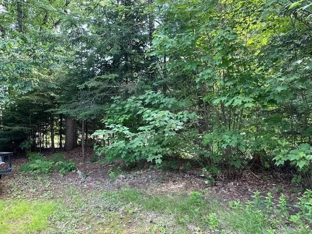 Photo of 55 Hurlburt
