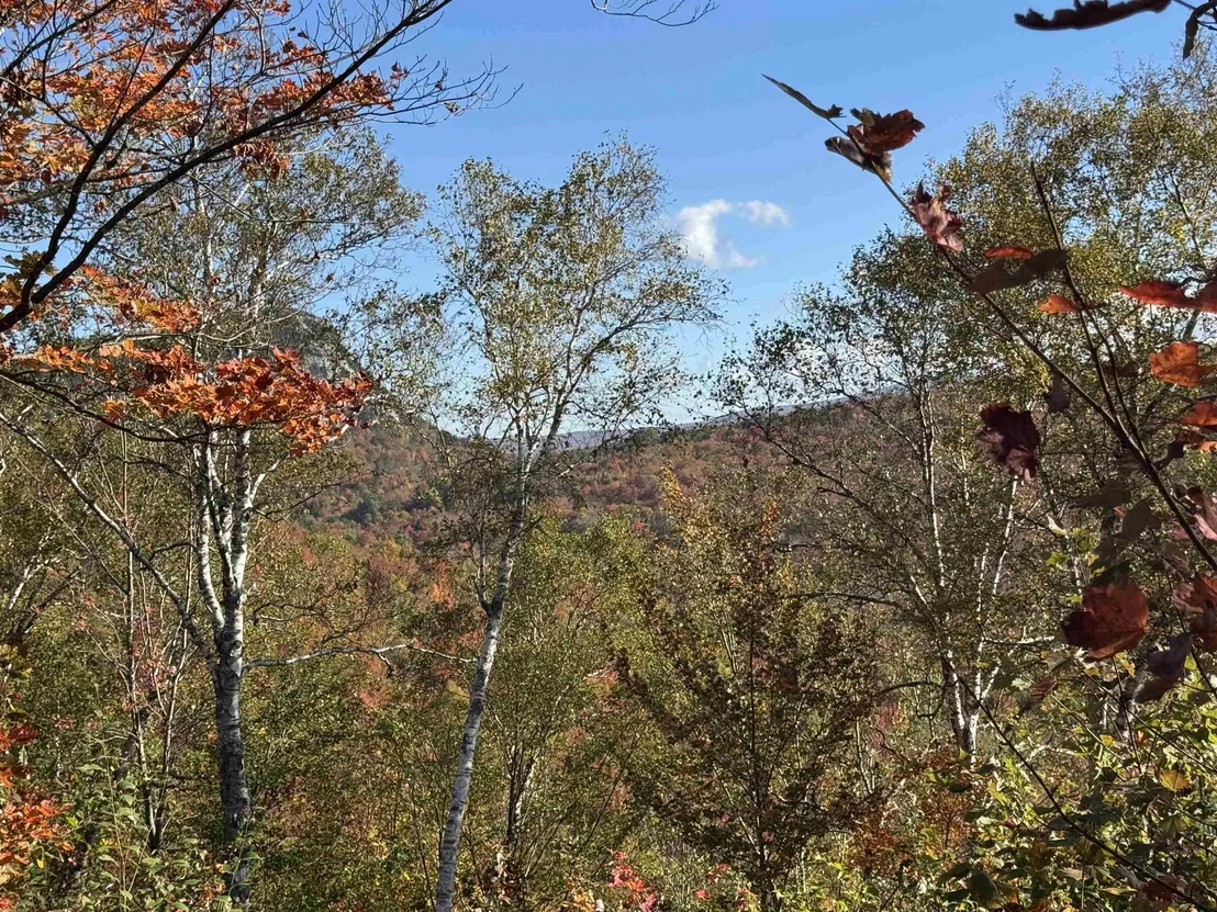 Photo of 915 Wheeler Mountain