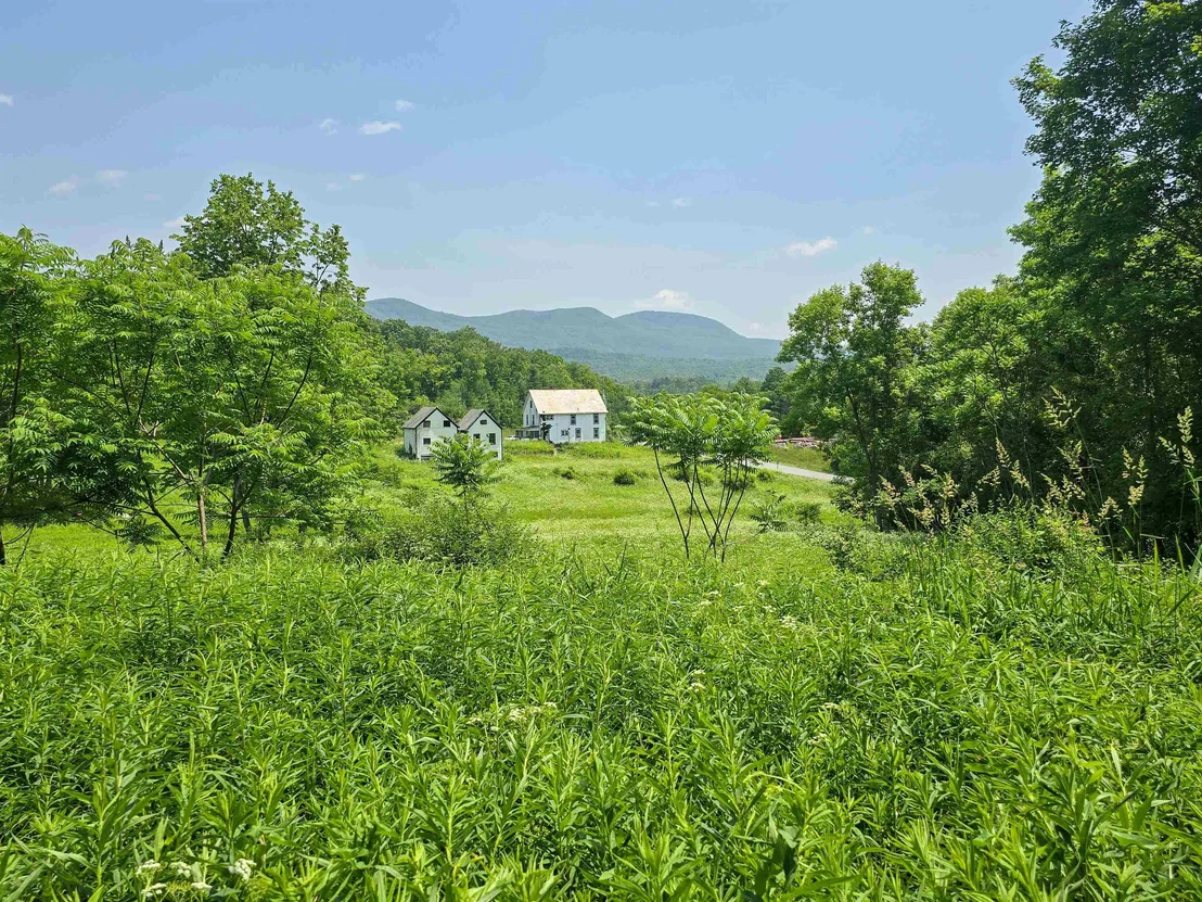 Photo of 21 Nickerson