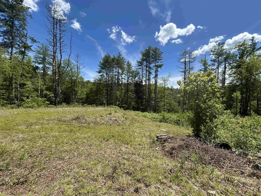 Photo of 14 Sugar Lot