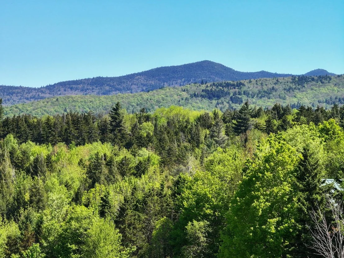 Photo of Lot 4 Weaver