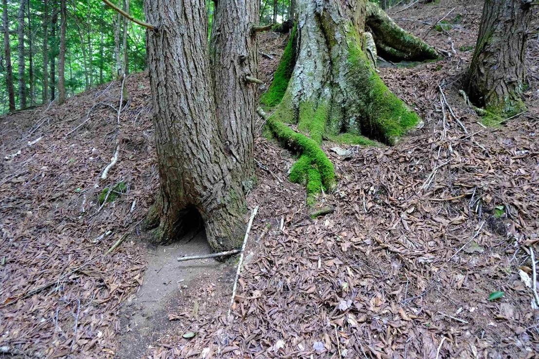 Photo of 0 Calendar Brook