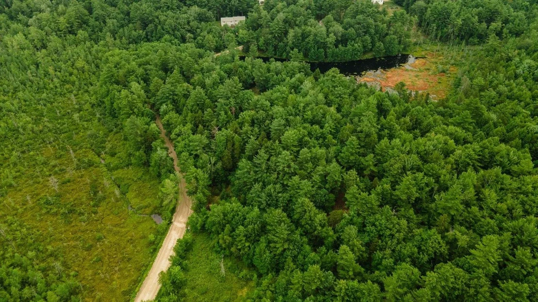 Photo of Lot 0 Pine