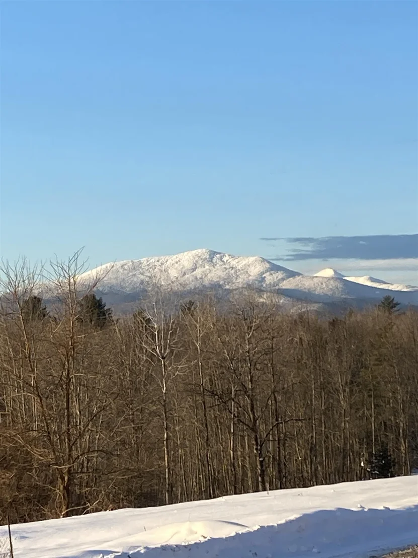 Photo of 26 Carter