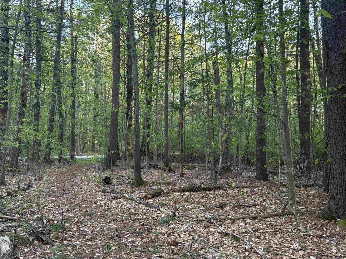 Photo of Lot 80 Currier