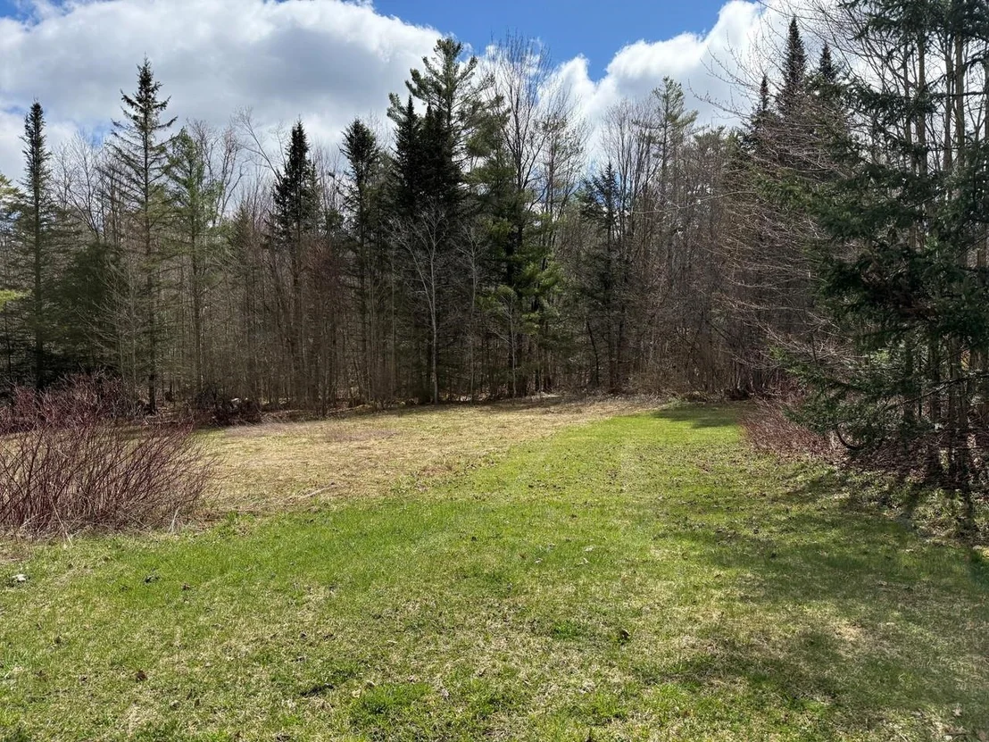 Photo of 571 Bliss