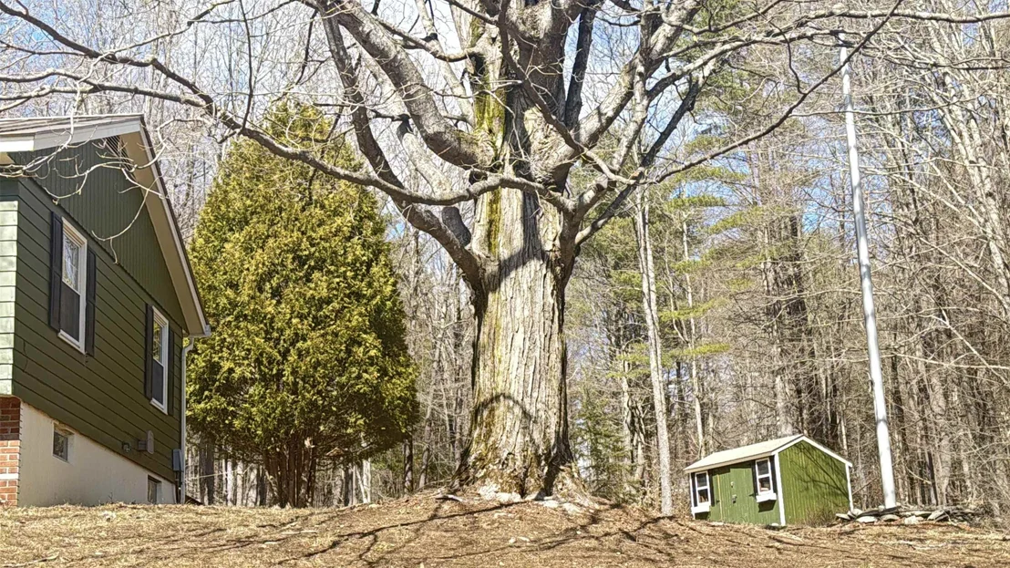 Photo of 11 Juniper Hill