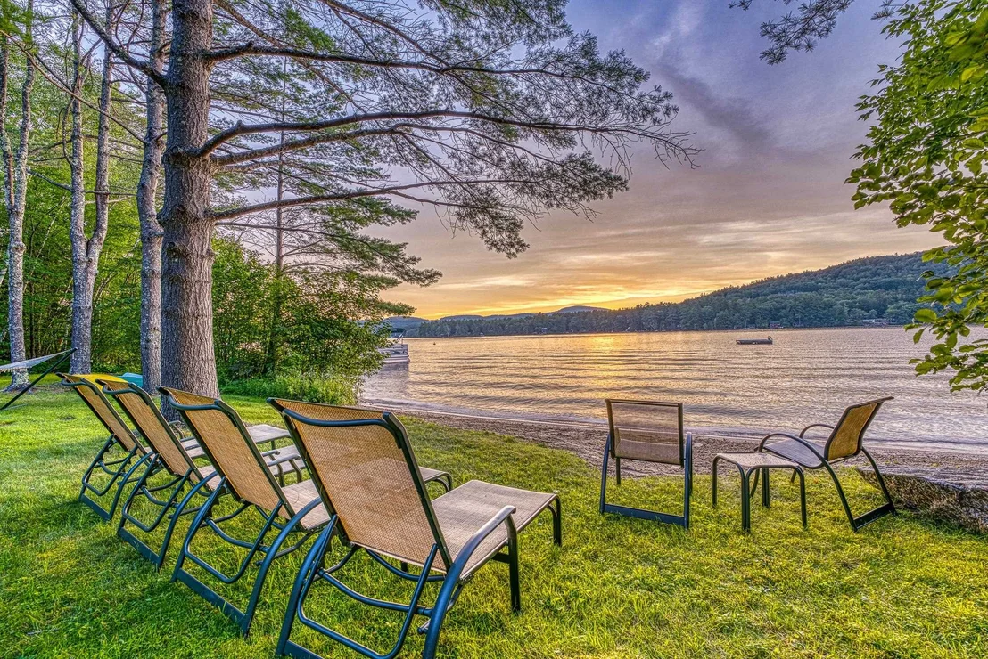 Photo of 11 Squamasee
