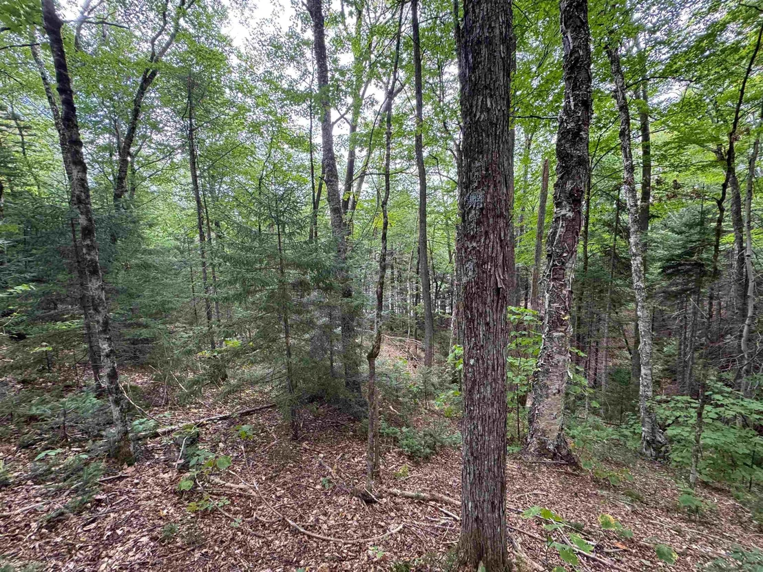 Photo of 00 Lake Hill