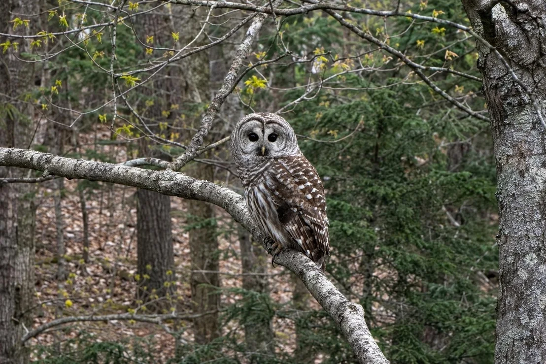 Photo of 391 Duffy