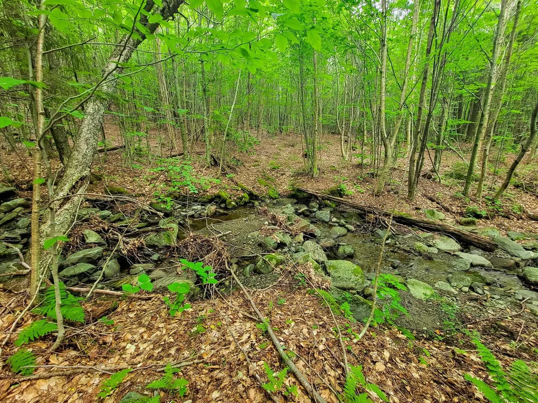 Photo of 4166 Mines
