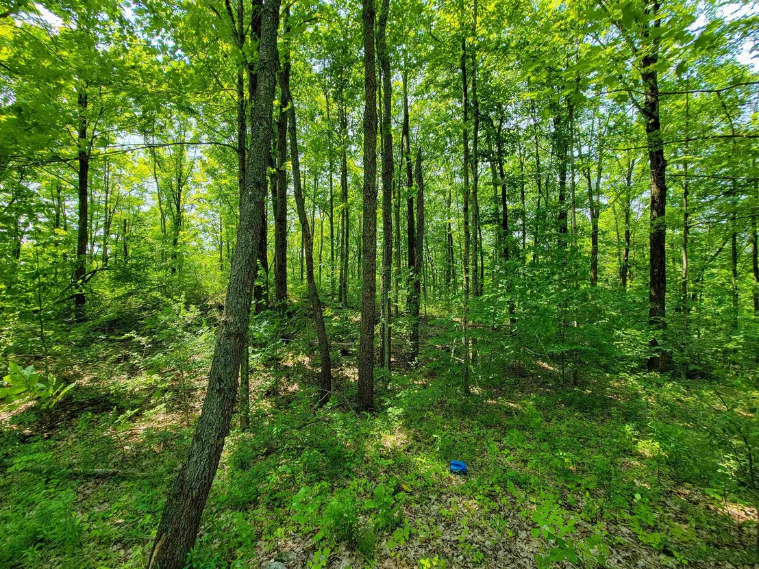 Photo of 21 Nickerson