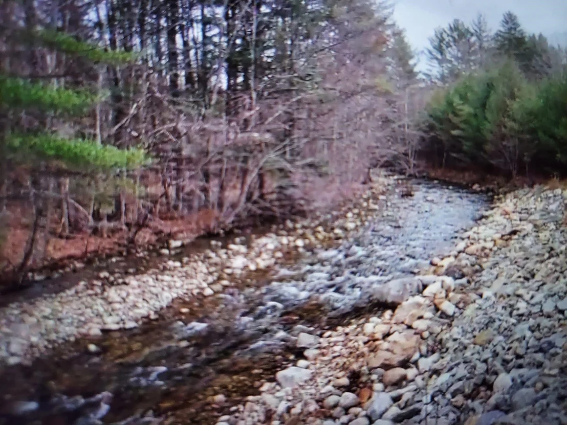 Photo of 00 Covered Bridge