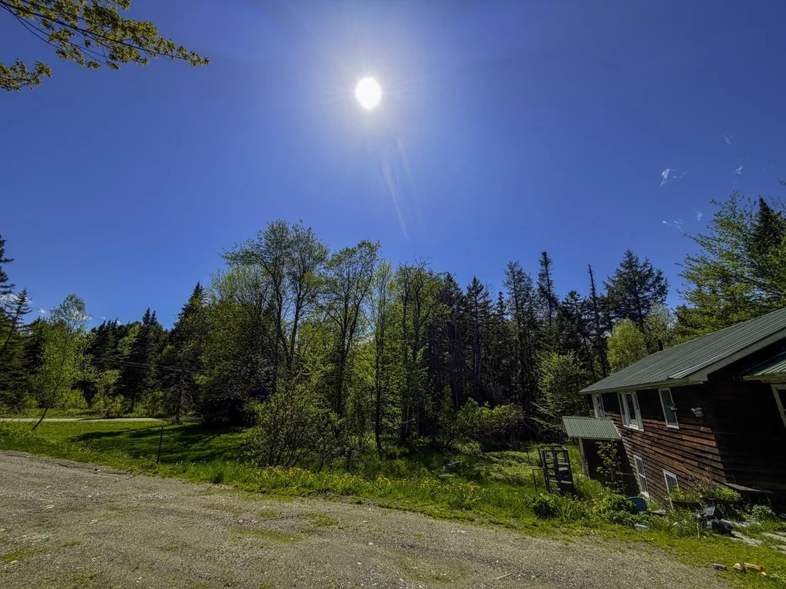Photo of 297 Robinson