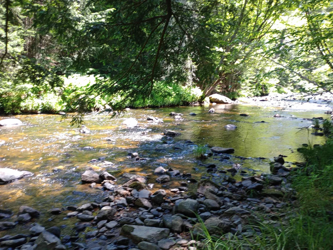Photo of 1011 US Route 4