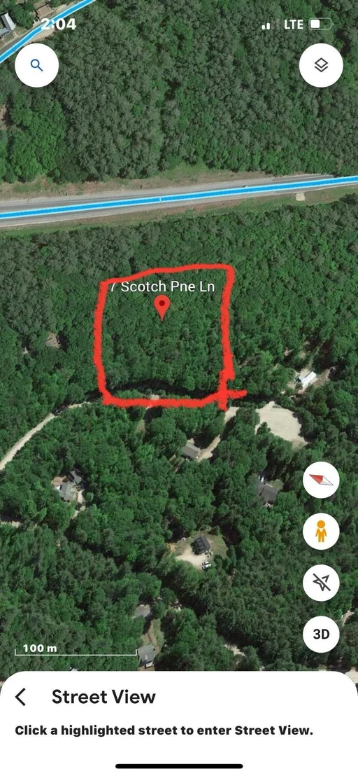 Photo of 7 Scotch Pine