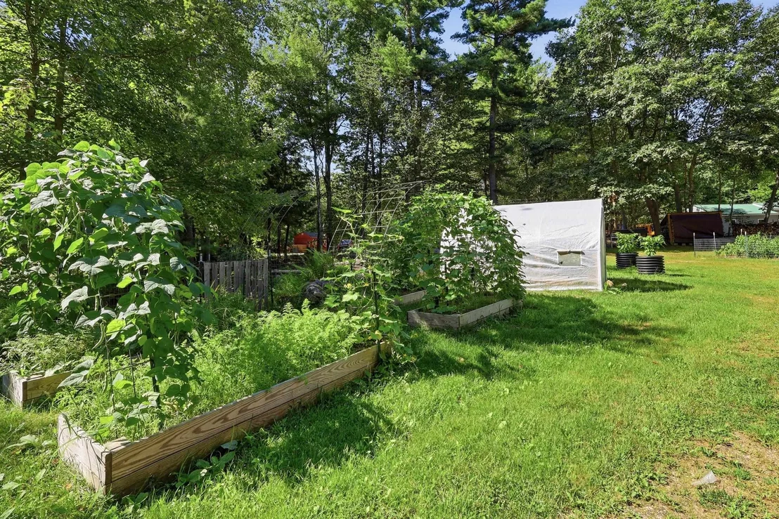 Photo of 12 Pine