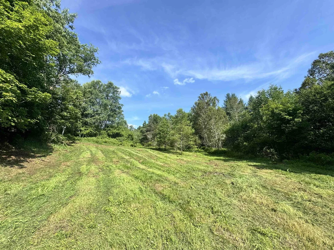 Photo of 2574 Chelsea