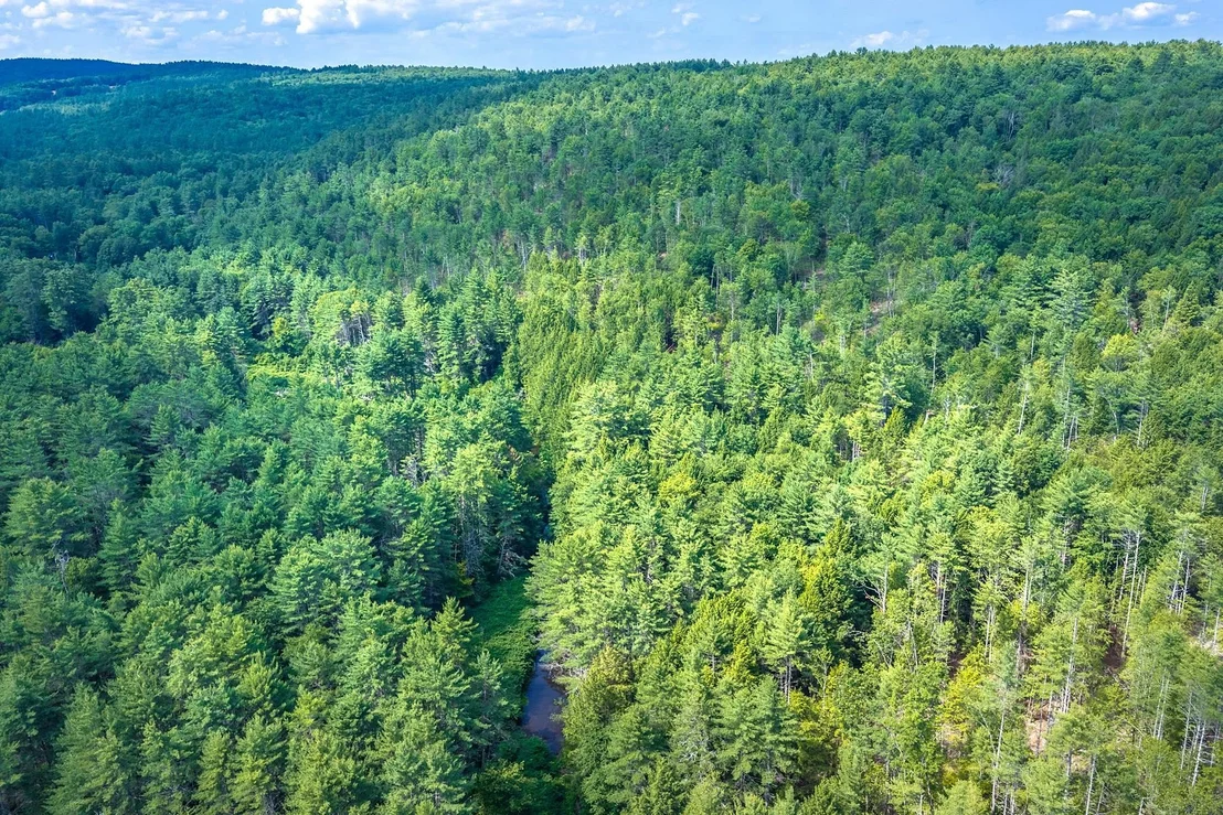 Photo of 40 E Putney Brook
