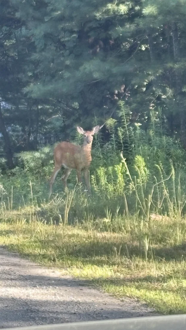 Photo of Unit LOT3 at 0 Oregon