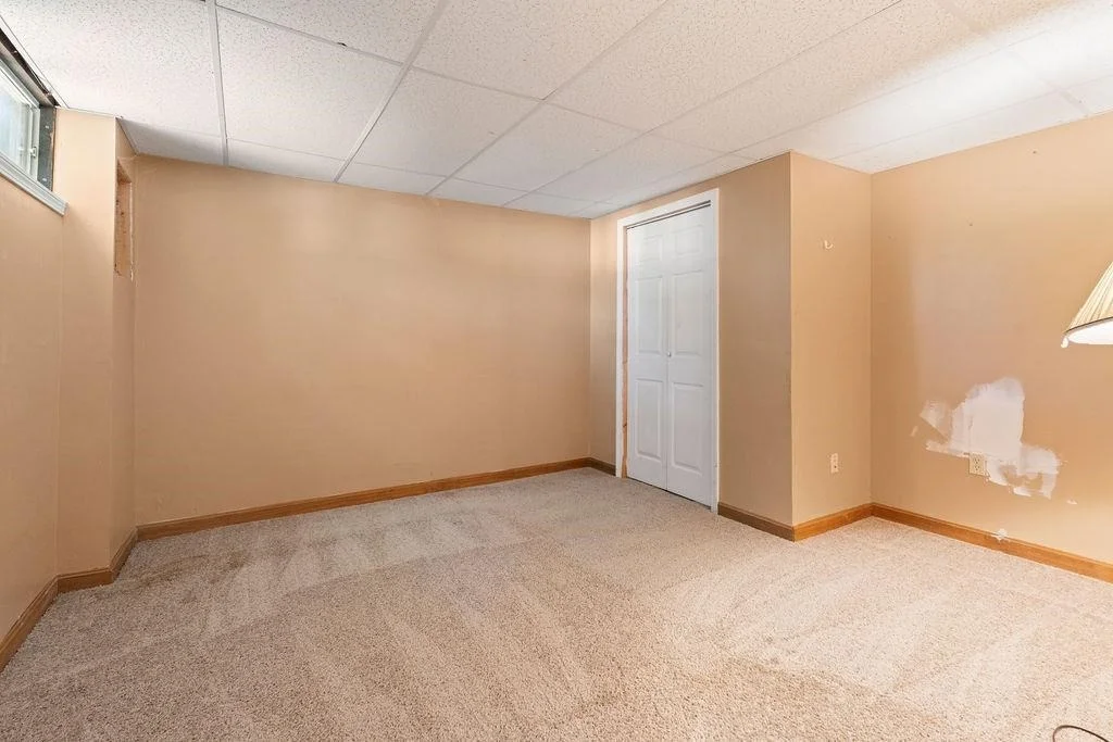 Photo of 5 Alder