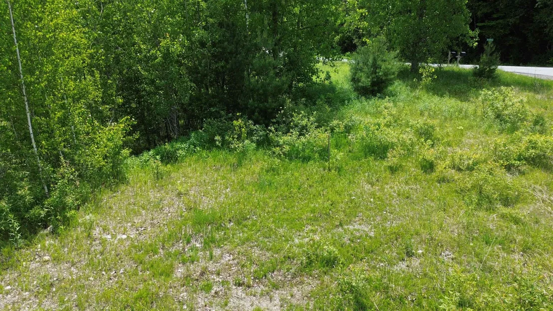 Photo of 20 Appletree