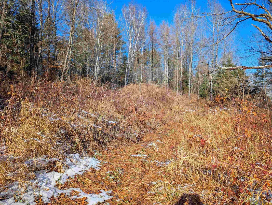 Photo of 00 Pudding Hill