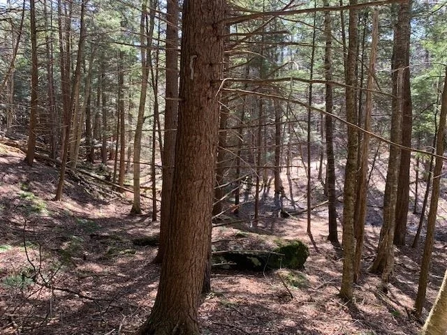 Photo of TBD VT Rt 100