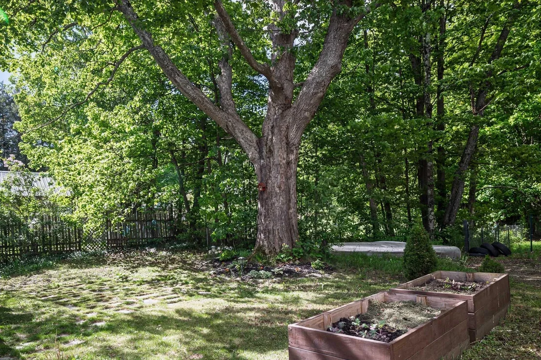 Photo of 6 Weston
