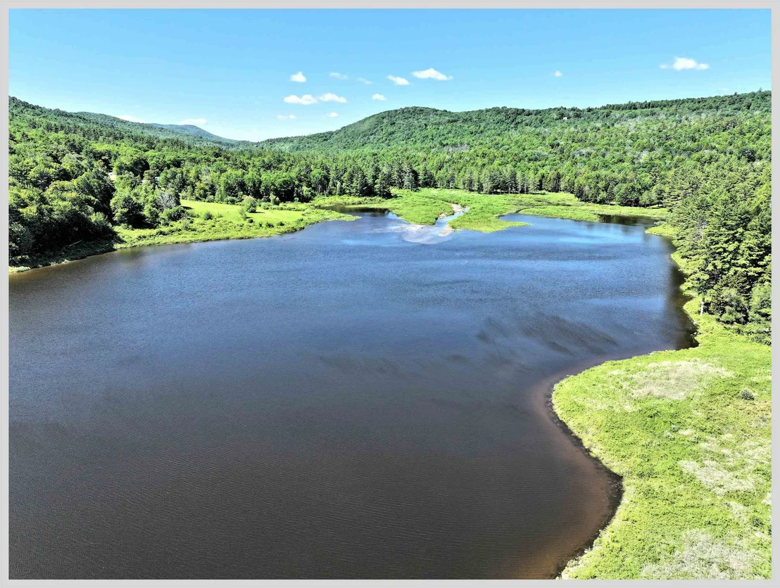 Photo of 206 River