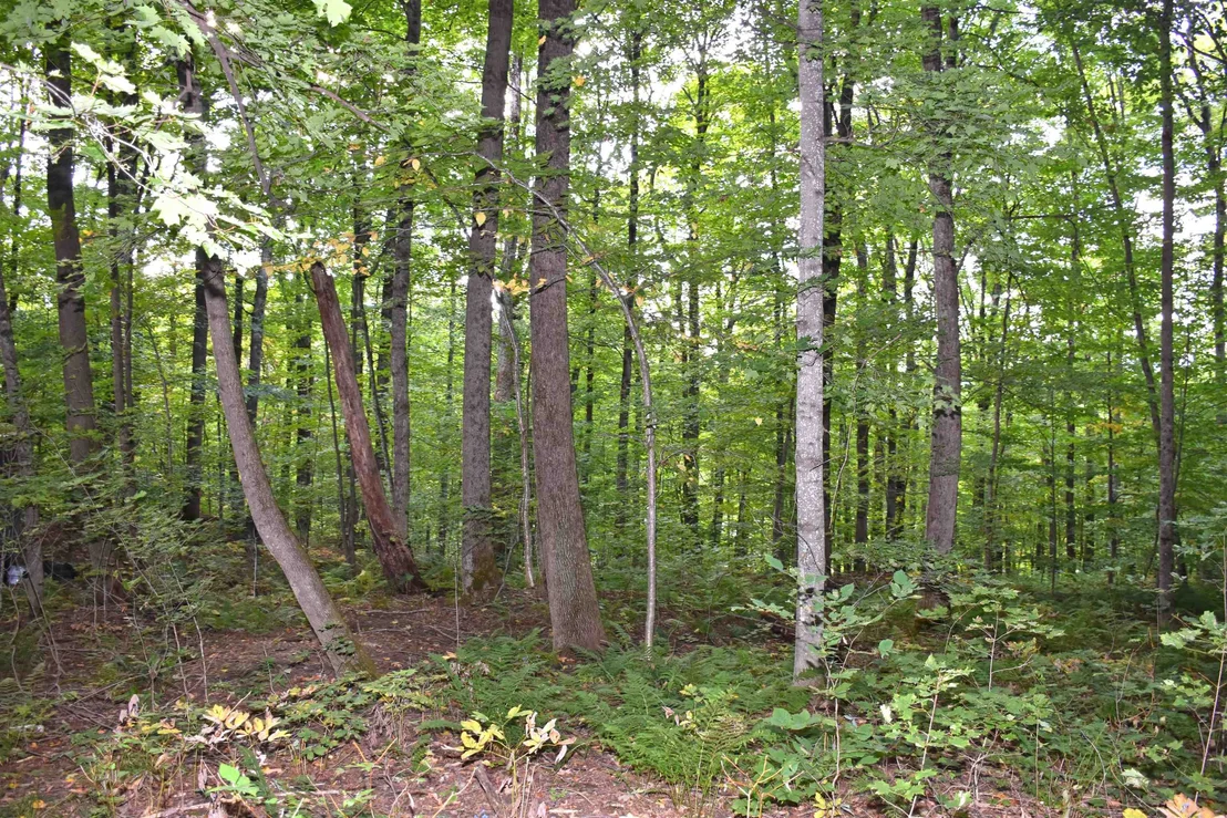 Photo of 397 Winch Hill
