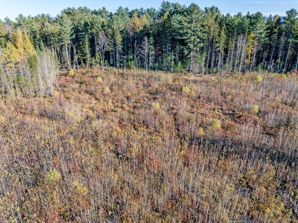 Photo of Lot 8 McIntyre