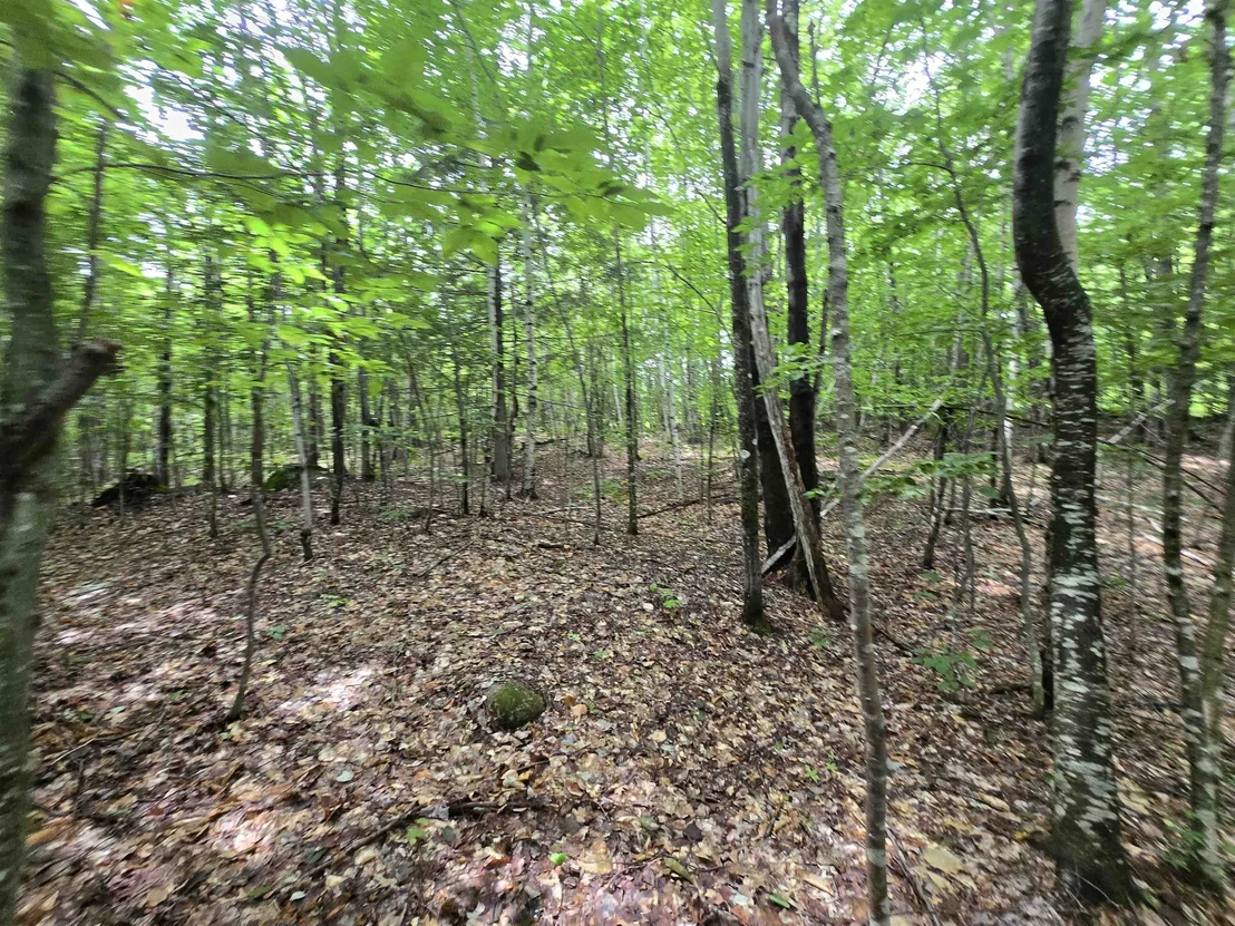 Photo of Lot 11 Brownfield