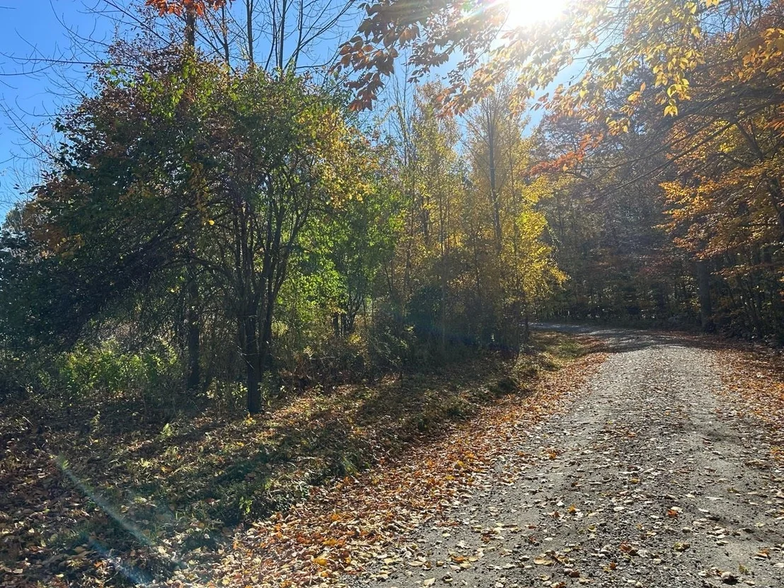 Photo of 184 Dupre