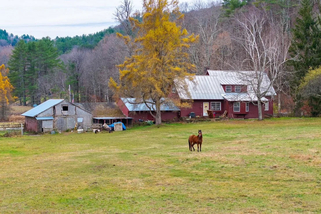 Photo of 298 Jenneville