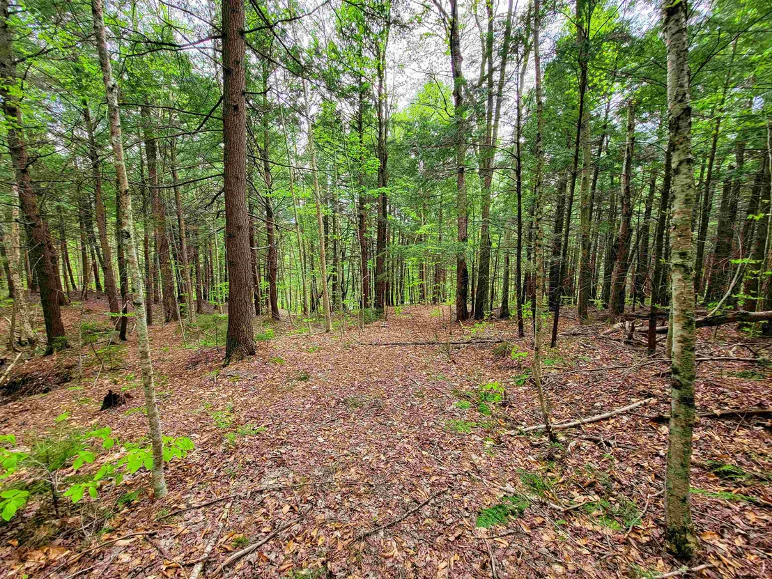 Photo of 167 High Meadow