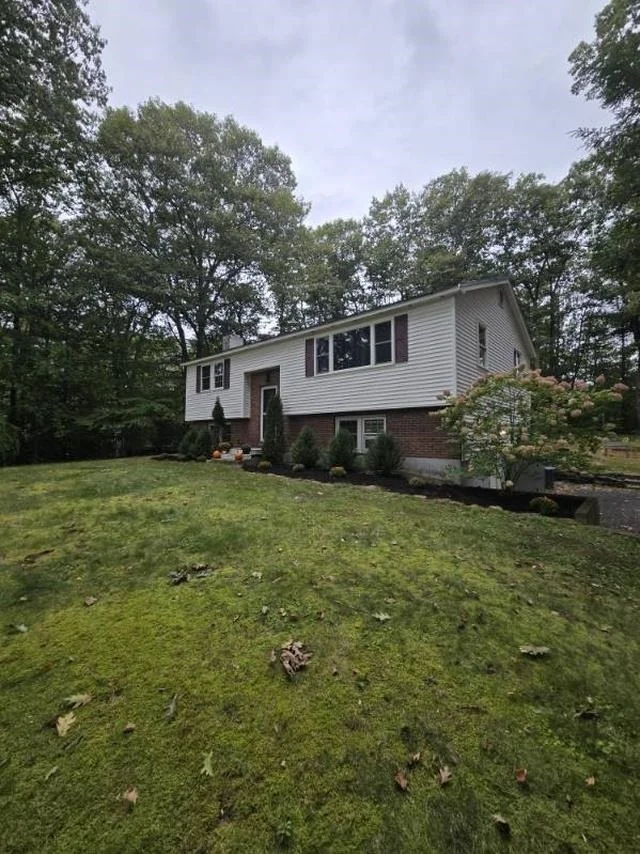 Photo of 9 Epping Woods