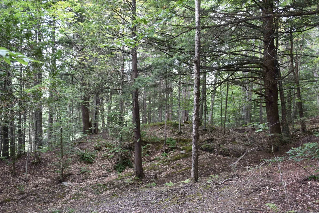 Photo of 188 Worcester Village