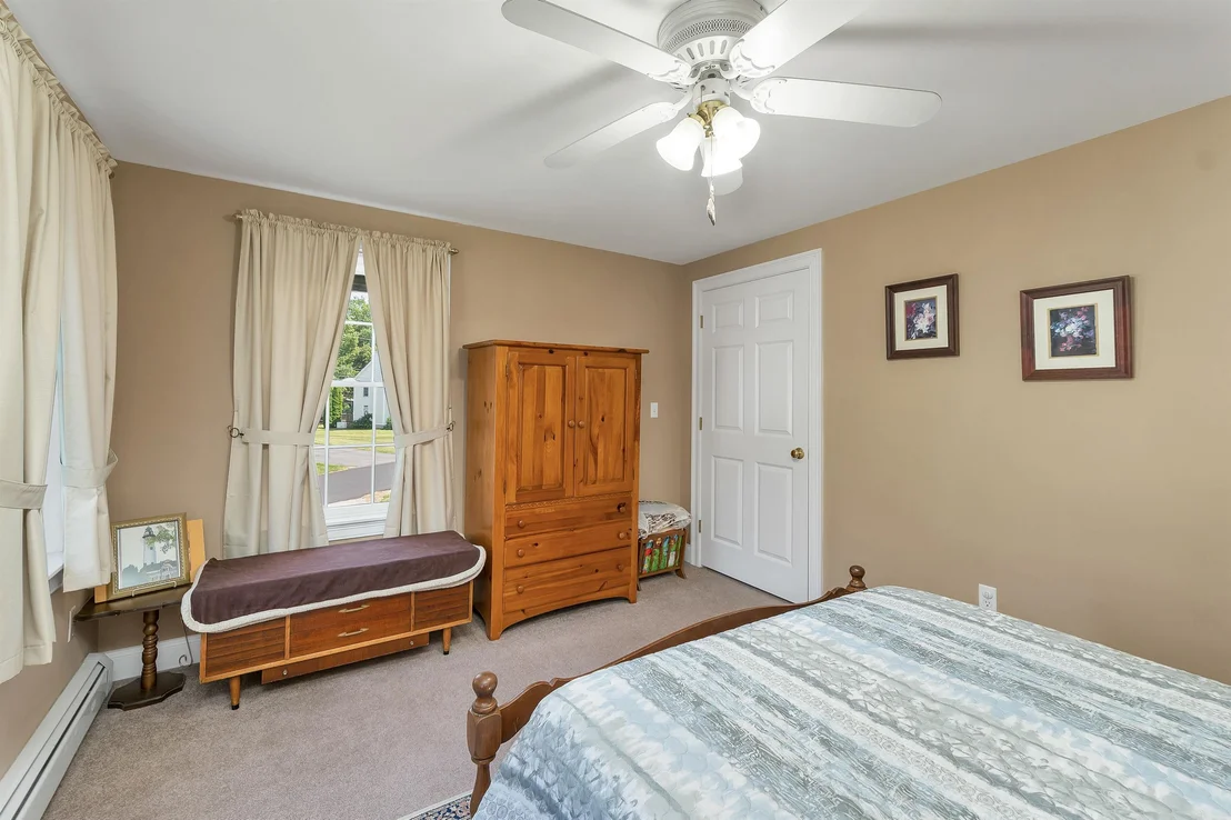 Photo of 41 Viola