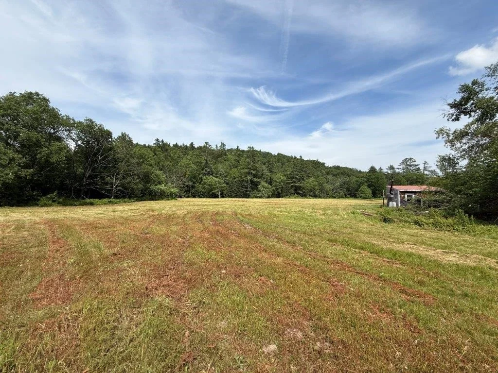Photo of 446 Walker Brook