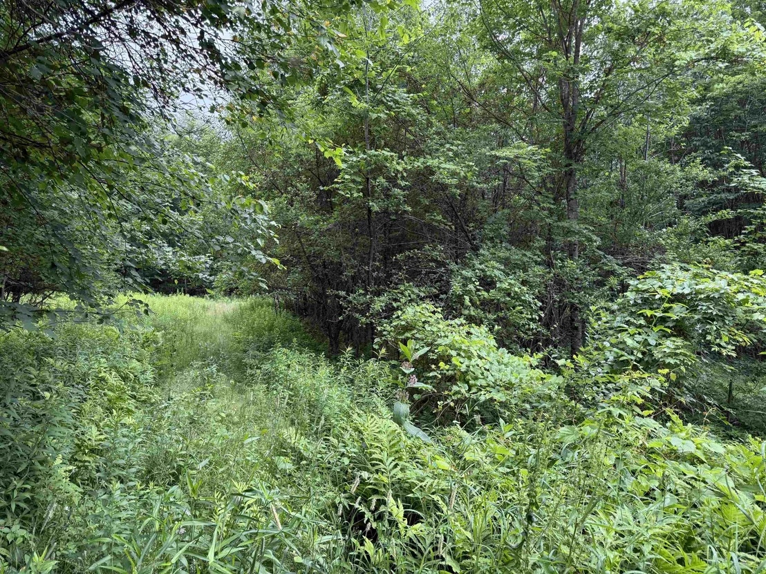 Photo of 90 Stone Hill