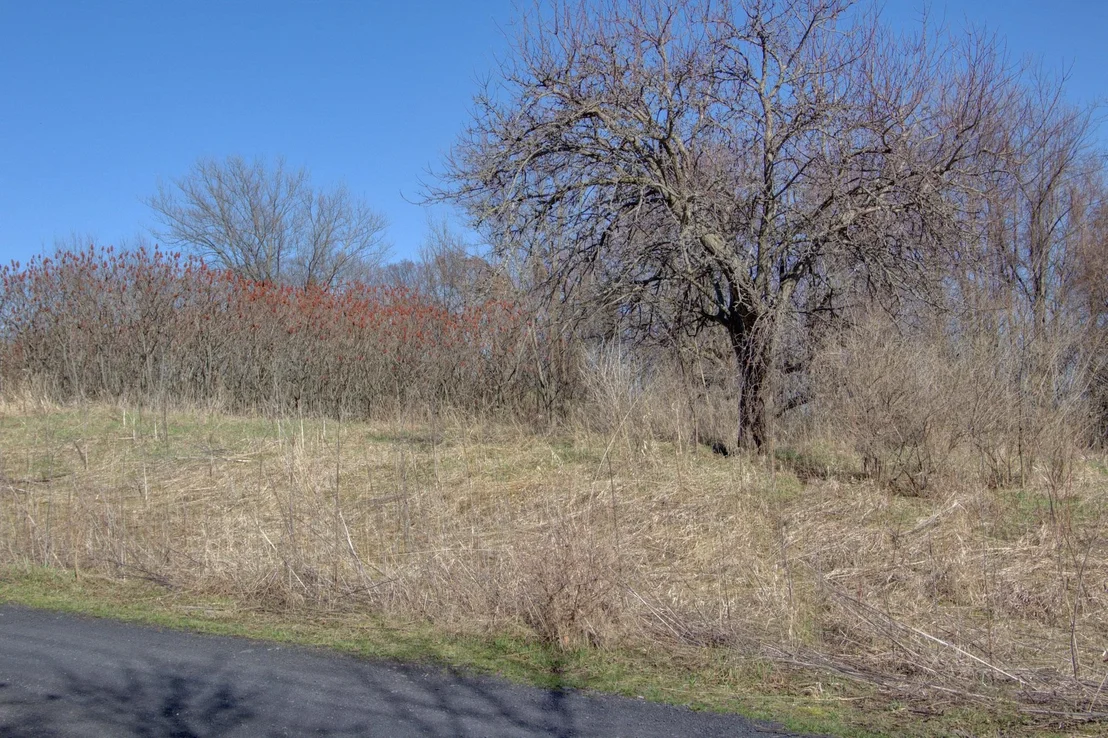 Photo of Unit LOT5 at 220 Terrapin