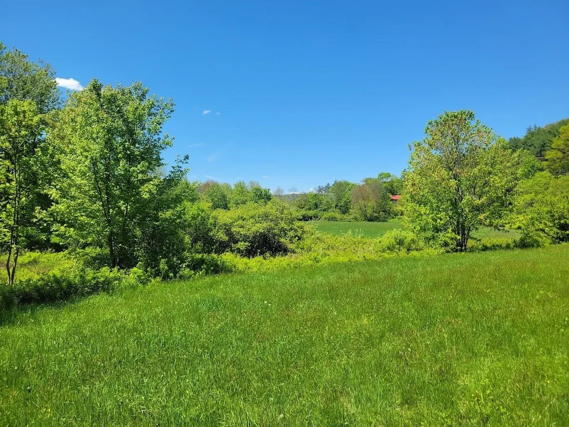 Photo of 00 Eastern District
