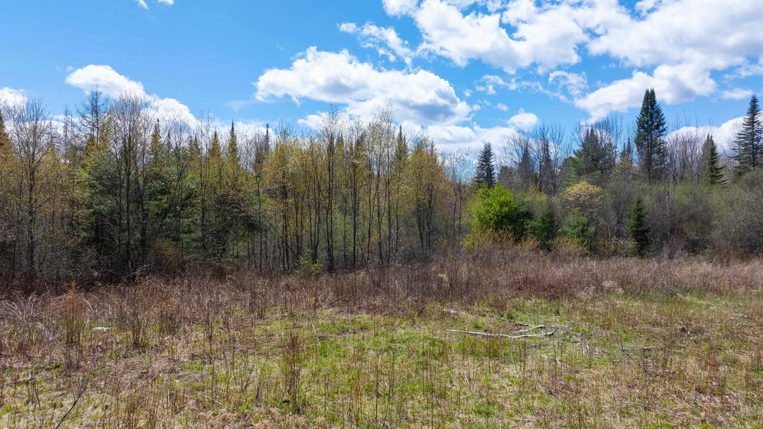 Photo of 491 Mount Eustis