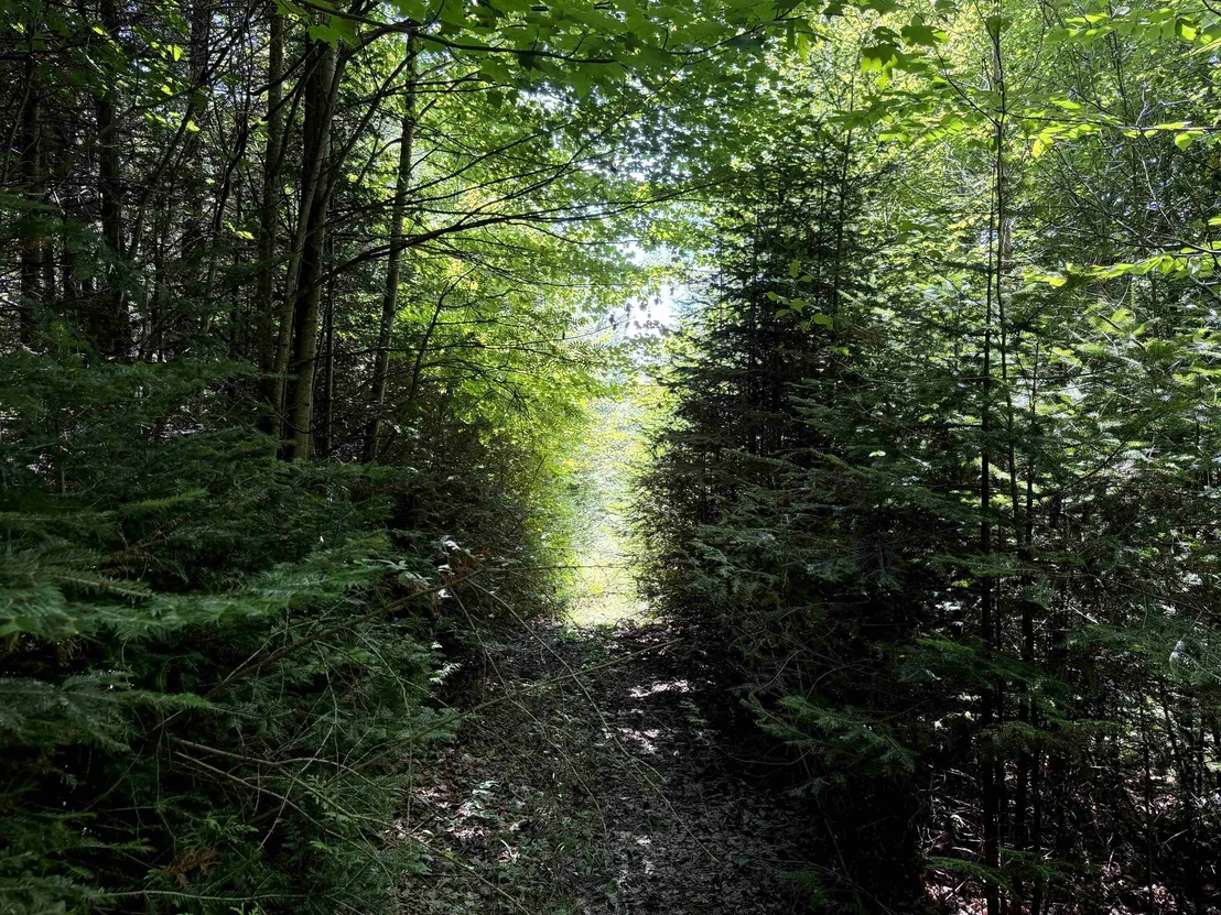 Photo of 3329 Bates Hill