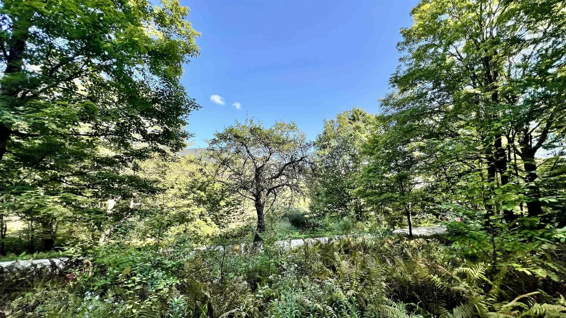 Photo of 2075 Codding Hollow