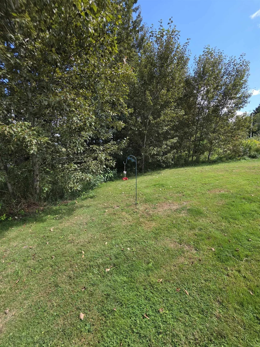 Photo of 752 Cook