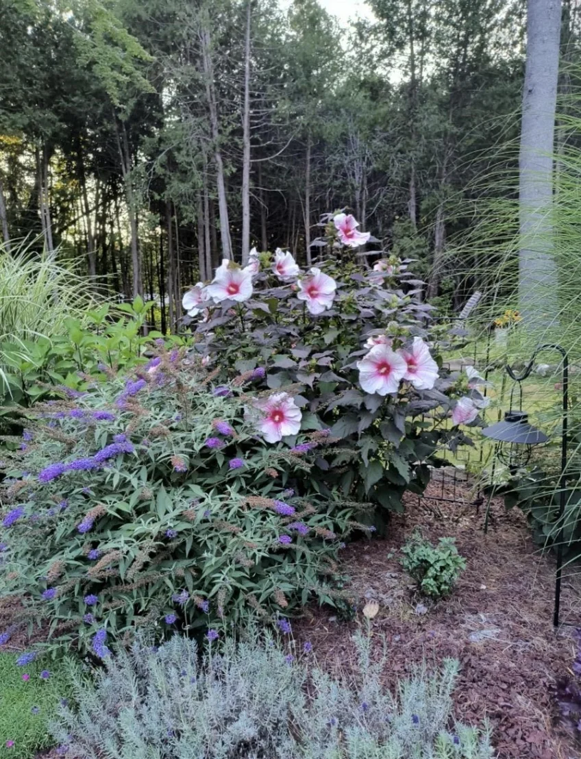 Photo of 64 Miller Road