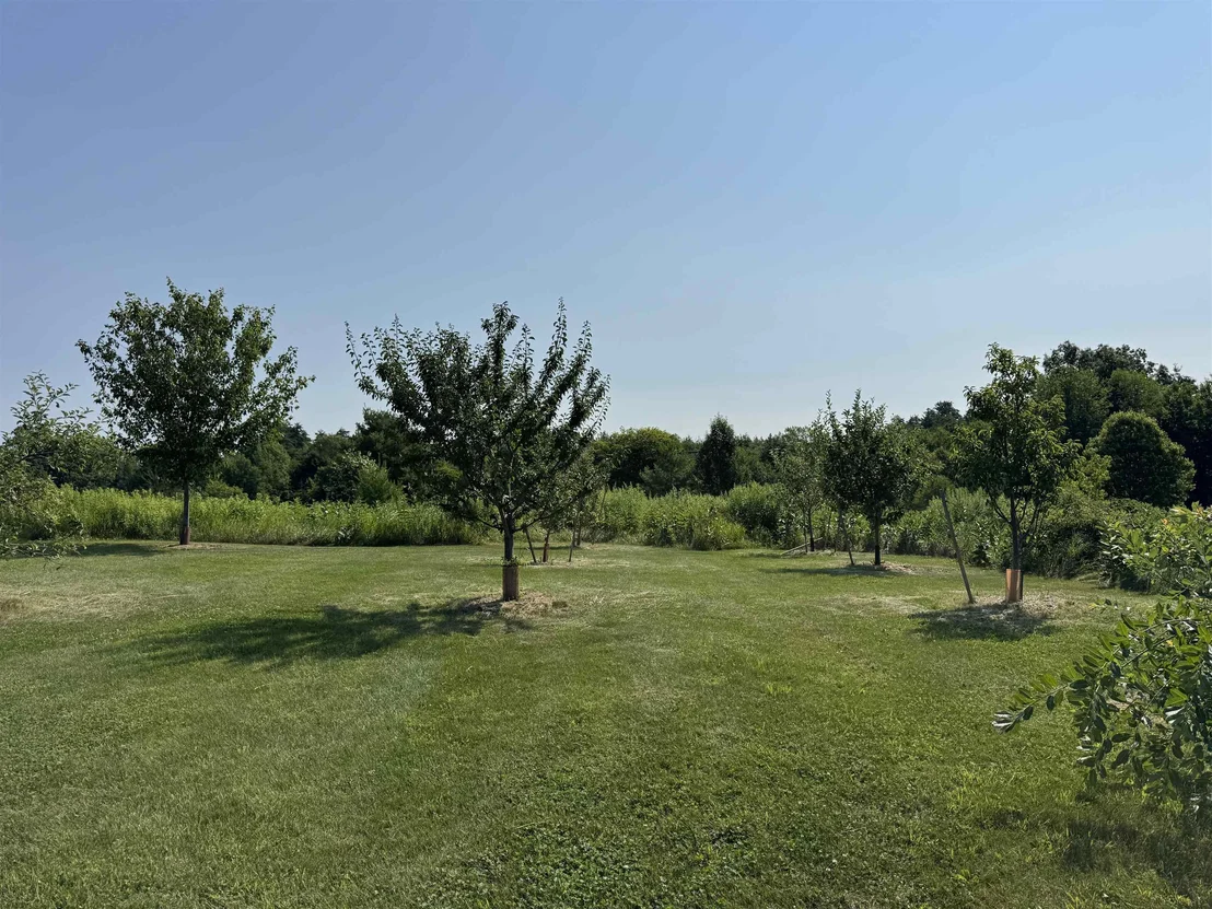 Photo of 55 Braeside