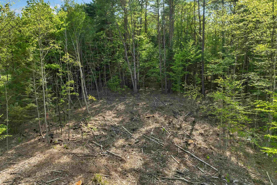 Photo of 73 Ellsworth Hill